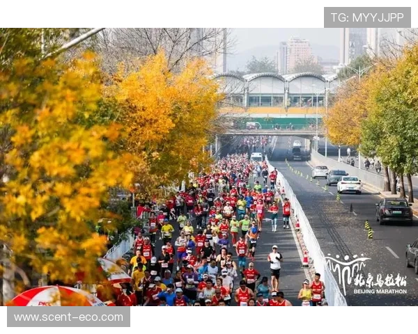 北京马拉松圆满落幕京喜连连展现跑者激情与城市风采 北京马拉松圆满落幕京喜连连展现跑者激情与城市风采