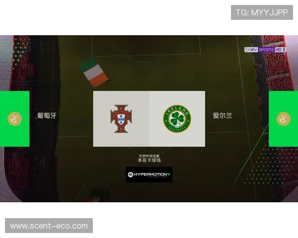 葡萄牙对阵爱尔兰首发阵容揭晓C罗维蒂尼亚B费领衔出战 葡萄牙对阵爱尔兰首发阵容揭晓C罗维蒂尼亚B费领衔出战