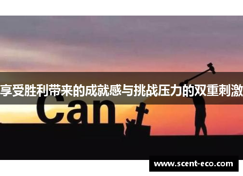 享受胜利带来的成就感与挑战压力的双重刺激